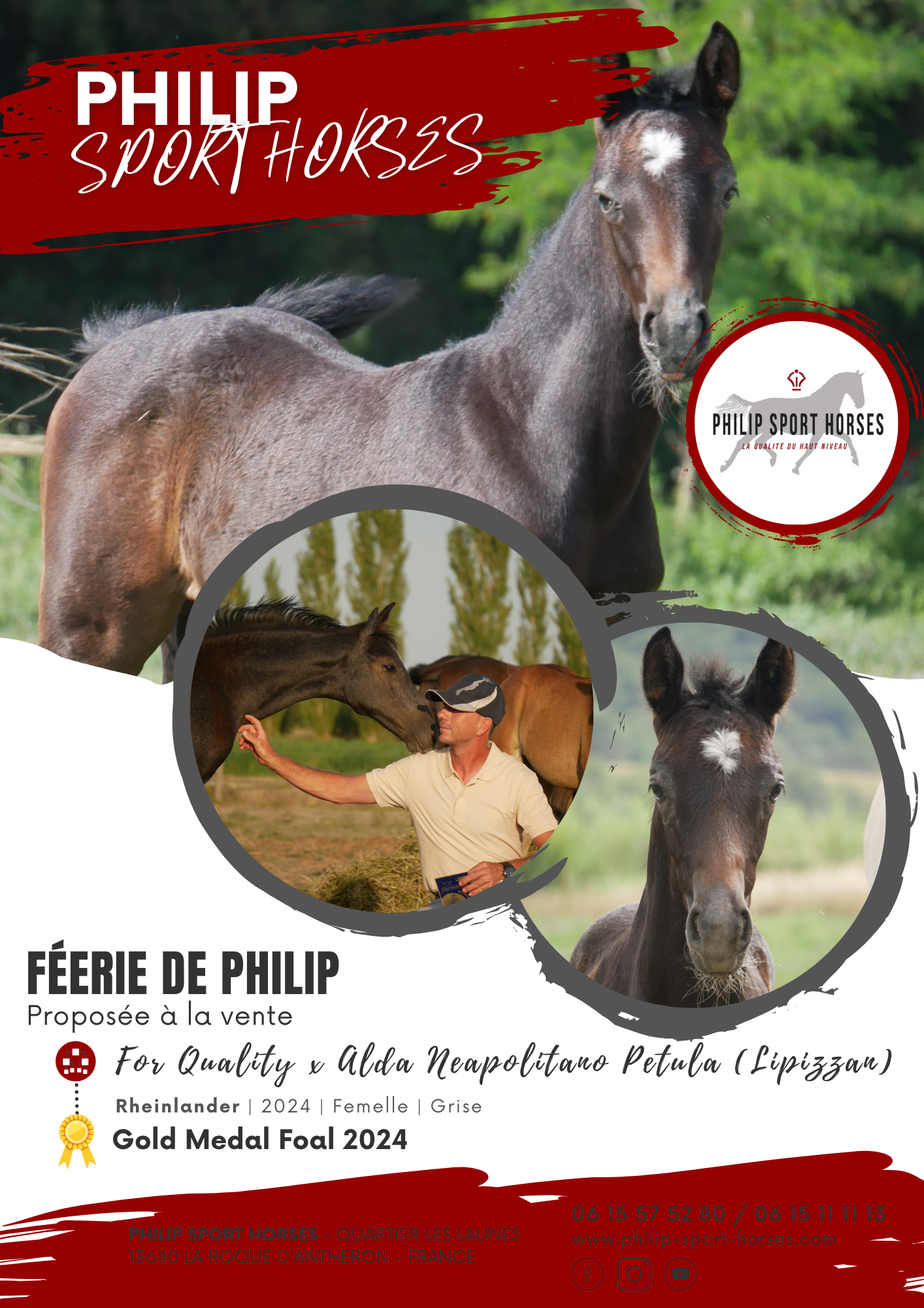 Gold Medal Foals 2024 / Féerie De Philip