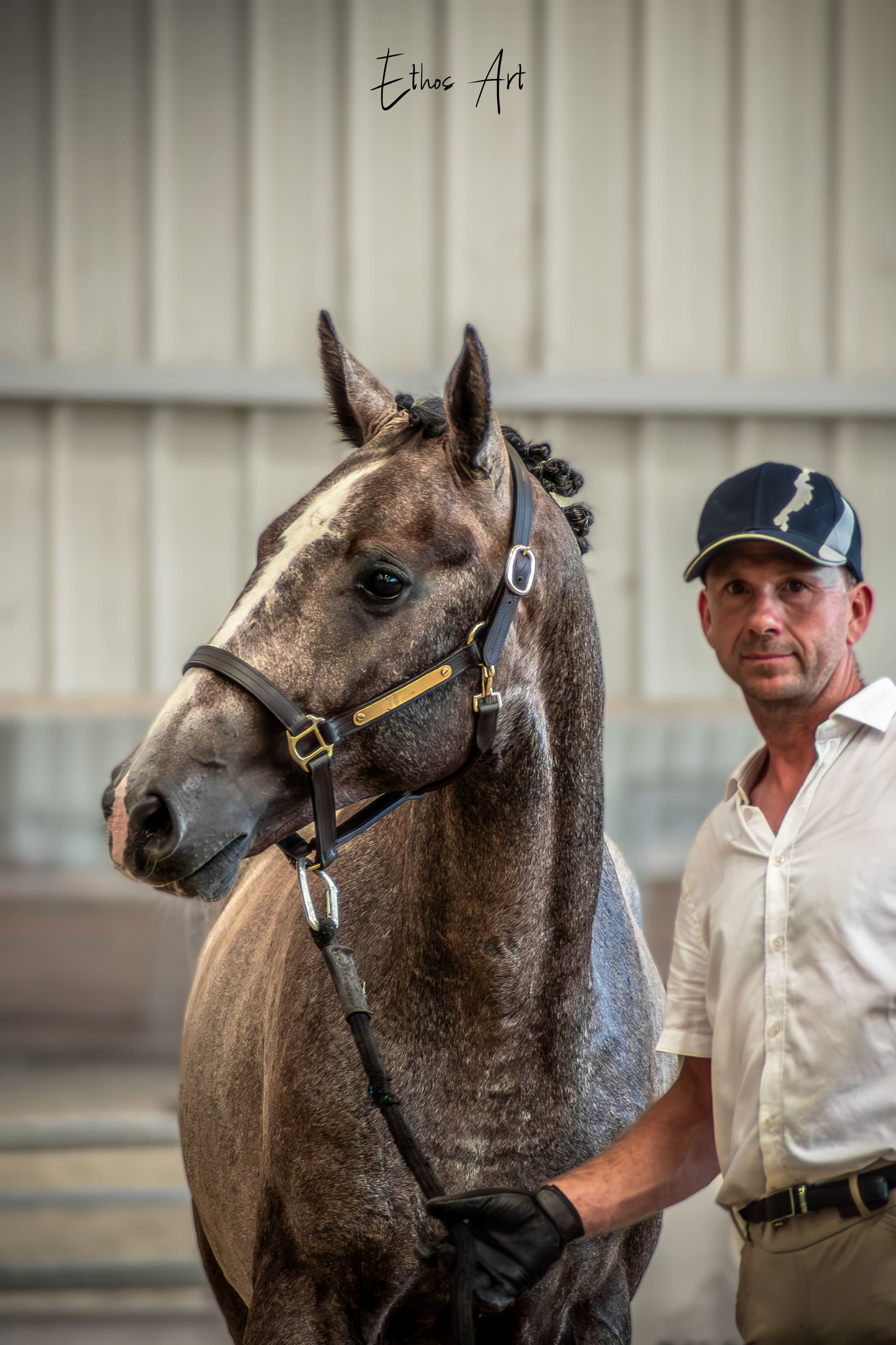 2024   France Dressage   Saturn   4