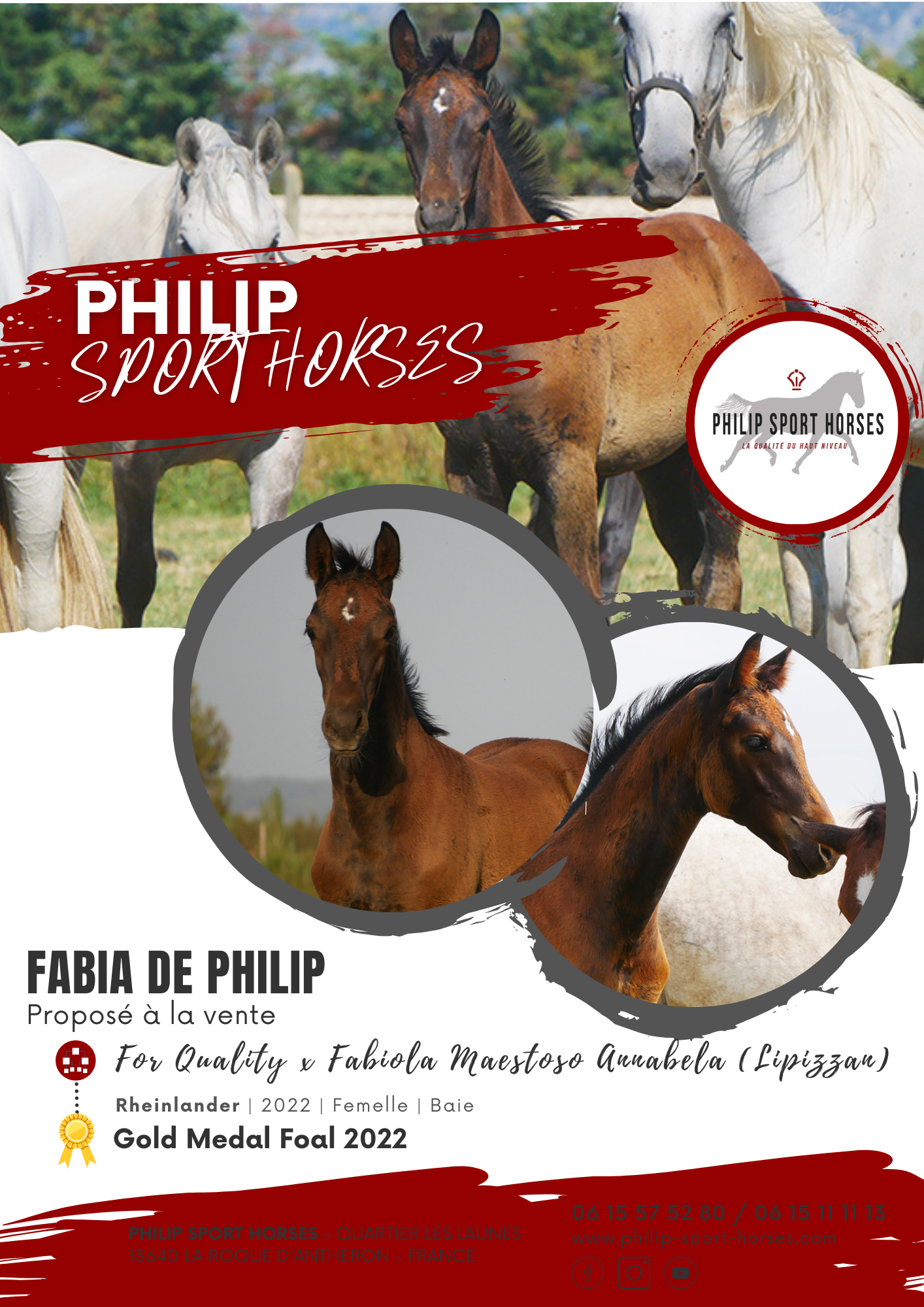 Gold Medal Foals 2022 /  Fabia De Philip