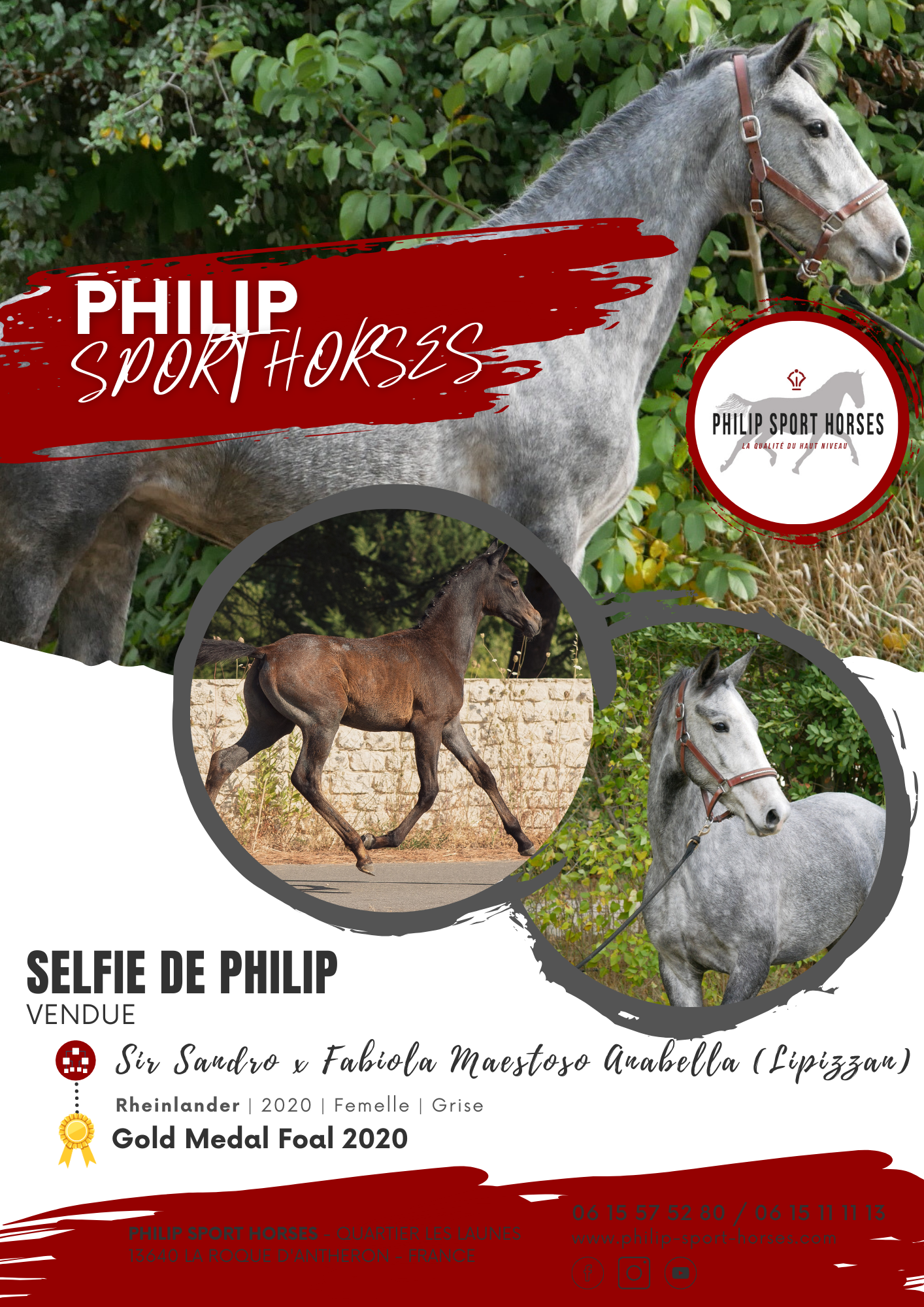 Gold Medal Foals 2020 /  Selfie De Philip