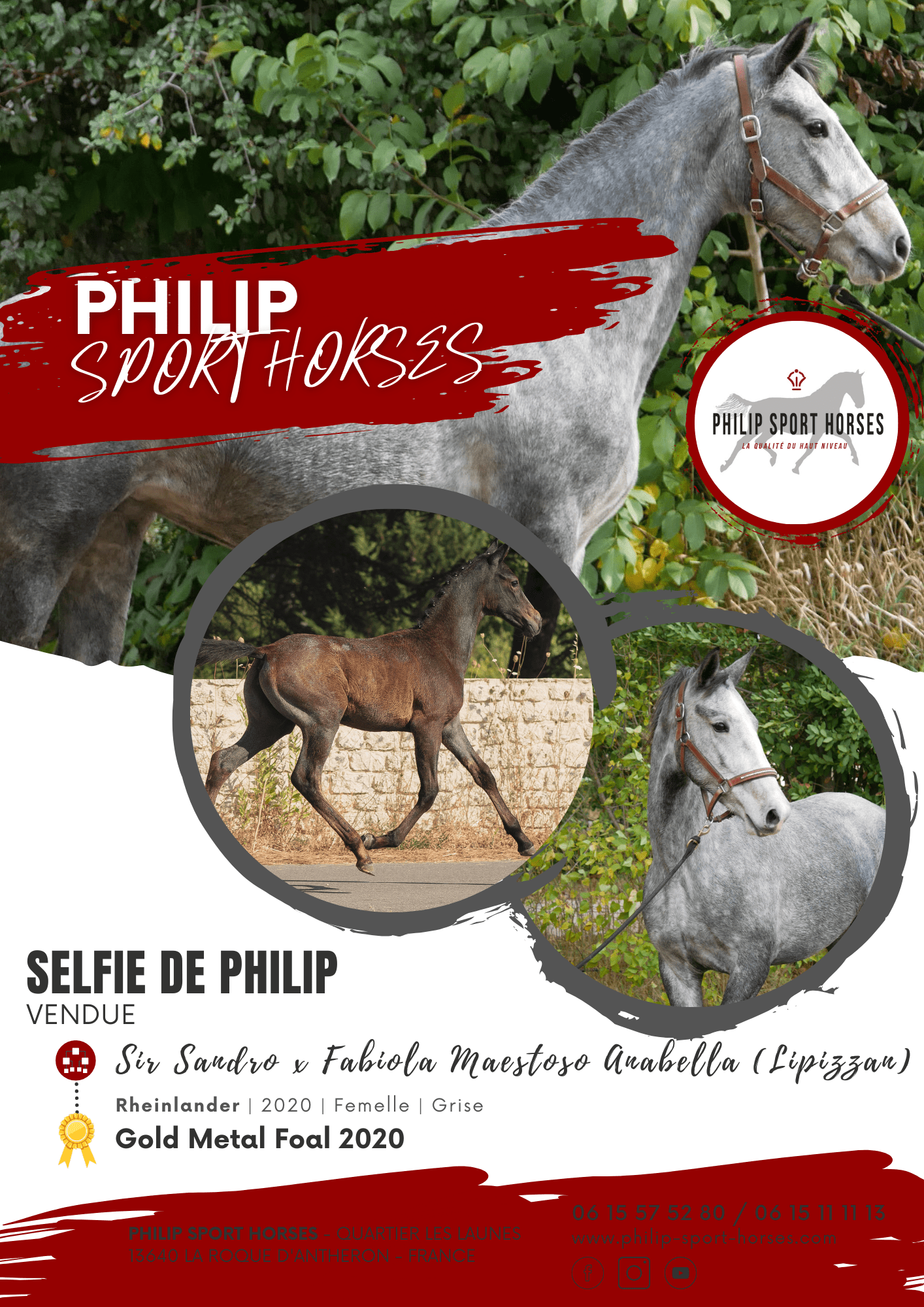Gold Metal Foals 2020 /  Selfie De Philip