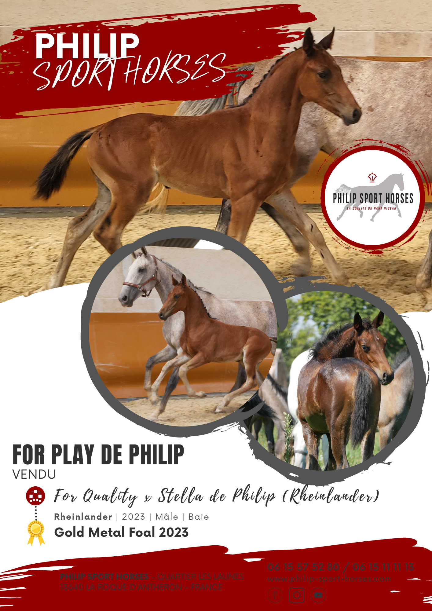 Gold Metal Foals 2023 / For Play De Philip